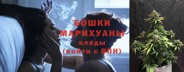 марки lsd Белокуриха