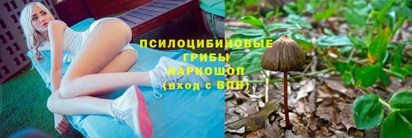 марки lsd Белокуриха